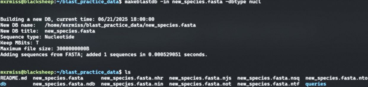 image-20250621180134829